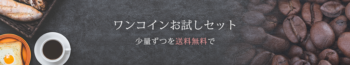 ワンコインお試しセット